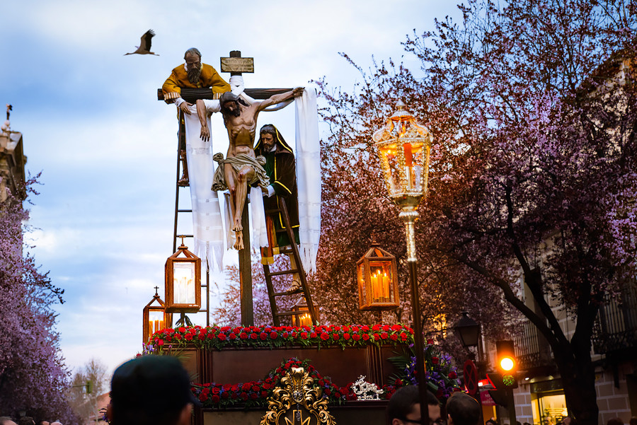 25032016-25032016-_DSC2447-Editar